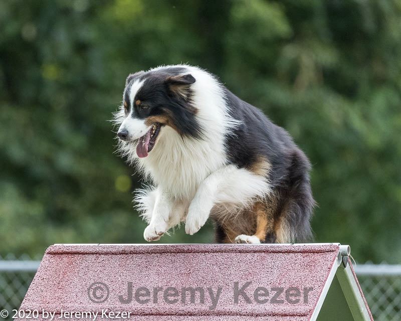 20200819-2783.jpg