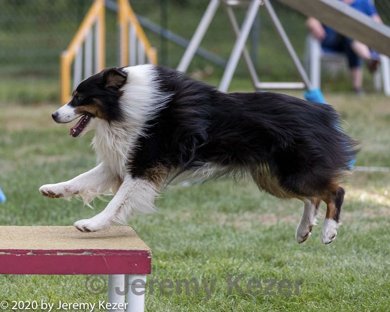 20200819-2786.jpg