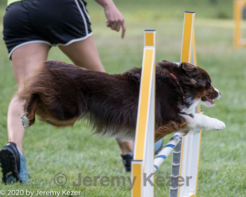 20200819-2809.jpg
