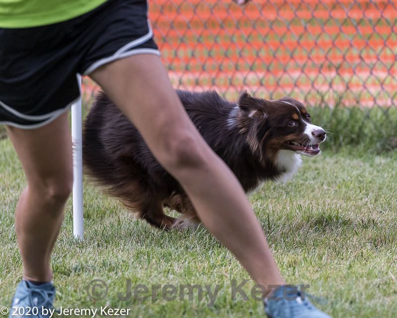20200819-2815.jpg