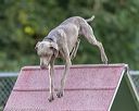 20200819-2942