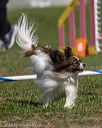 20220917-pvkc-0025