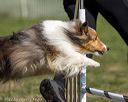 20220917-pvkc-0049