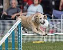 20220917-pvkc-0270