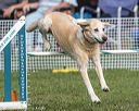 20220917-pvkc-0271