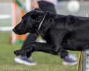 20220917-pvkc-0285