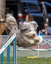 20220917-pvkc-0334