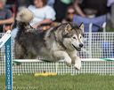 20220917-pvkc-0345