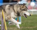 20220917-pvkc-0357