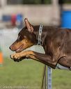 20220917-pvkc-0382