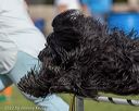 20220917-pvkc-0391