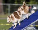 20220917-pvkc-0558