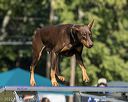 20220917-pvkc-1039