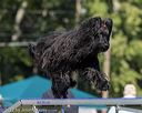 20220917-pvkc-1050