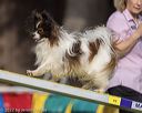 20220917-pvkc-1105