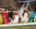 20220917-pvkc-1107