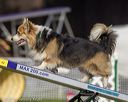 20220917-pvkc-1115