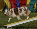 20220917-pvkc-1122