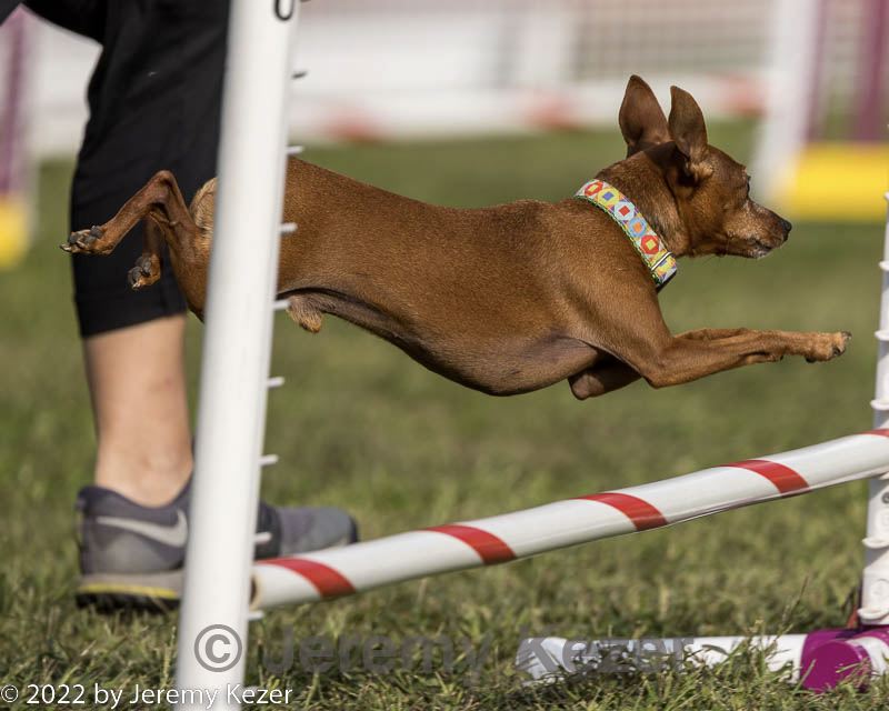 20220917-pvkc-1114.jpg