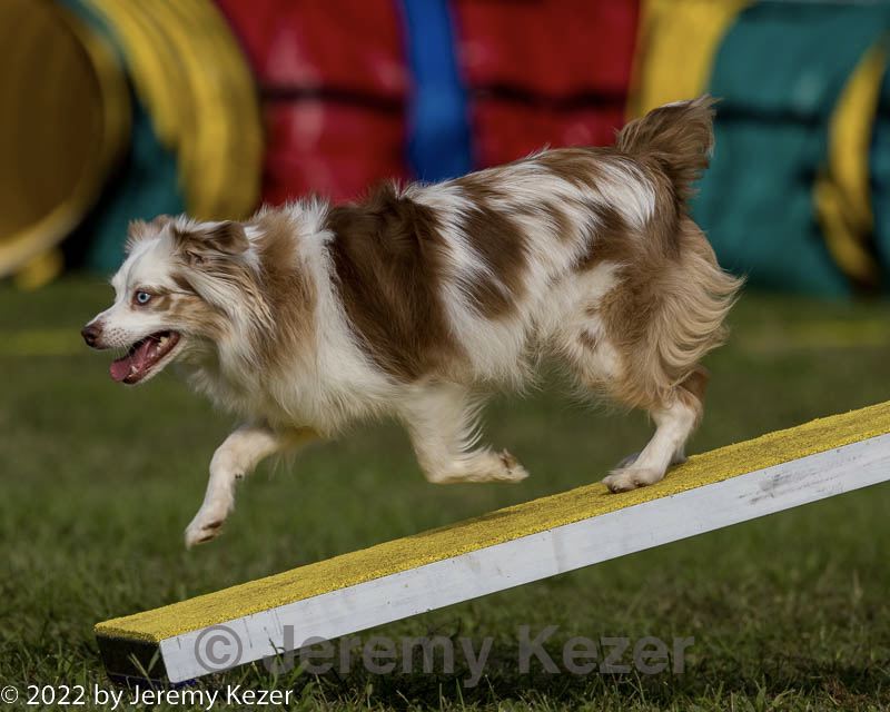 20220917-pvkc-1122.jpg