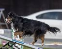 20220917-pvkc-1128