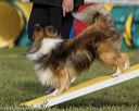 20220917-pvkc-1137