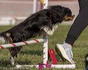 20220917-pvkc-1143