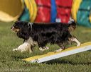 20220917-pvkc-1145
