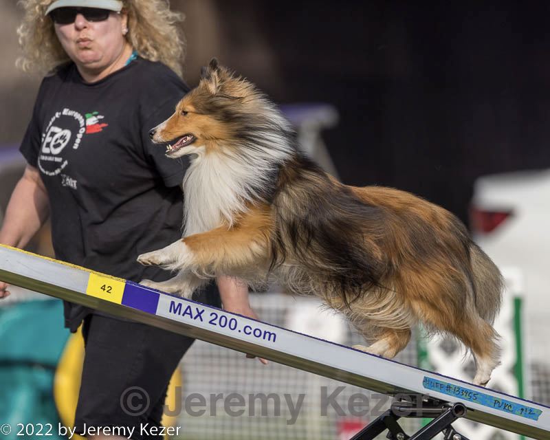 20220917-pvkc-1135.jpg