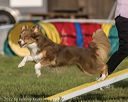 20220917-pvkc-1153