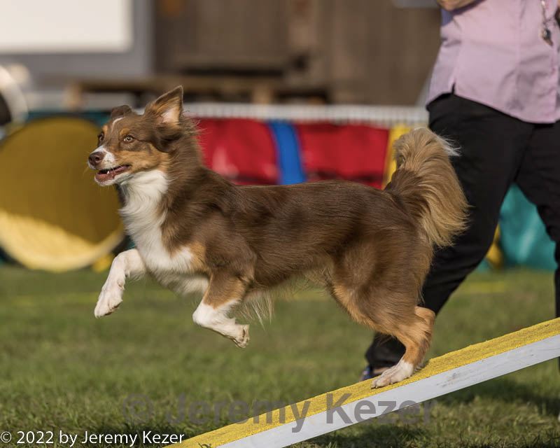 20220917-pvkc-1152.jpg
