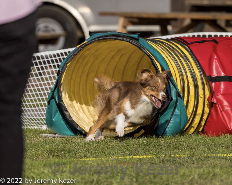 20220917-pvkc-1155.jpg