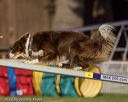 20220917-pvkc-1159