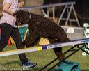 20220917-pvkc-1175
