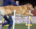 20220917-pvkc-1189