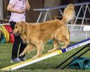 20220917-pvkc-1207