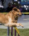 20220917-pvkc-1288