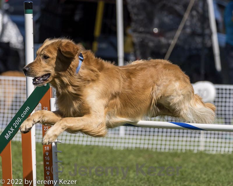 20220917-pvkc-1286.jpg