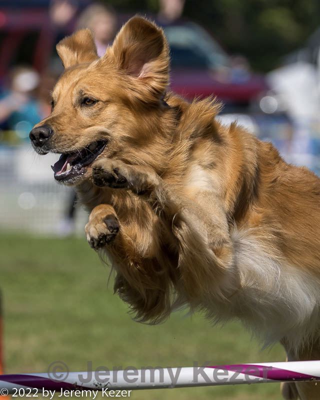 20220917-pvkc-1290.jpg