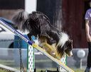 20220917-pvkc-1320