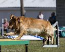 20220917-pvkc-1332