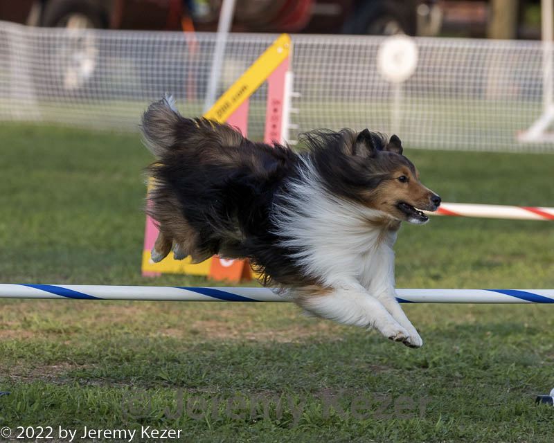 20220917-pvkc-1344.jpg