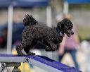 20220917-pvkc-1410