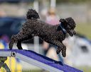 20220917-pvkc-1411