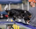 20220917-pvkc-1418