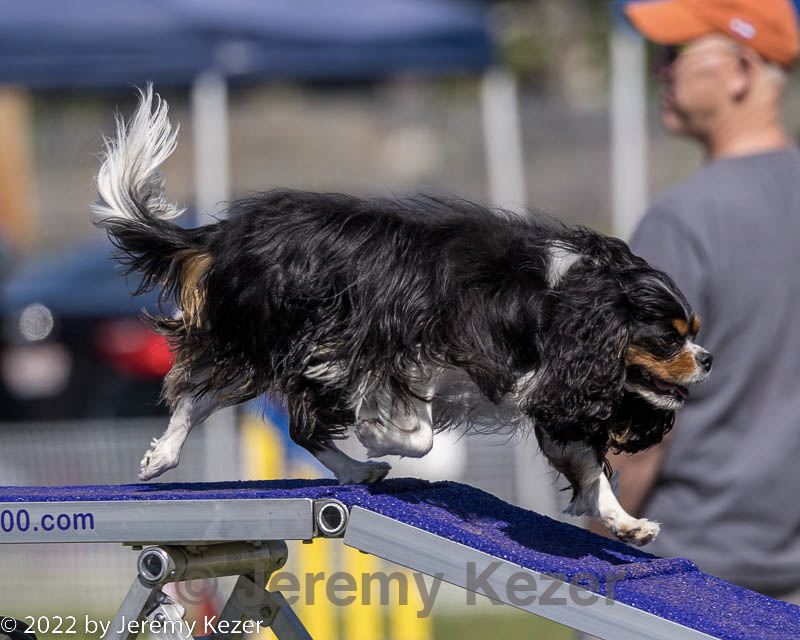 20220917-pvkc-1418.jpg
