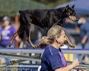20220917-pvkc-1423