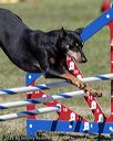 20220917-pvkc-1426