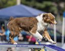 20220917-pvkc-1429