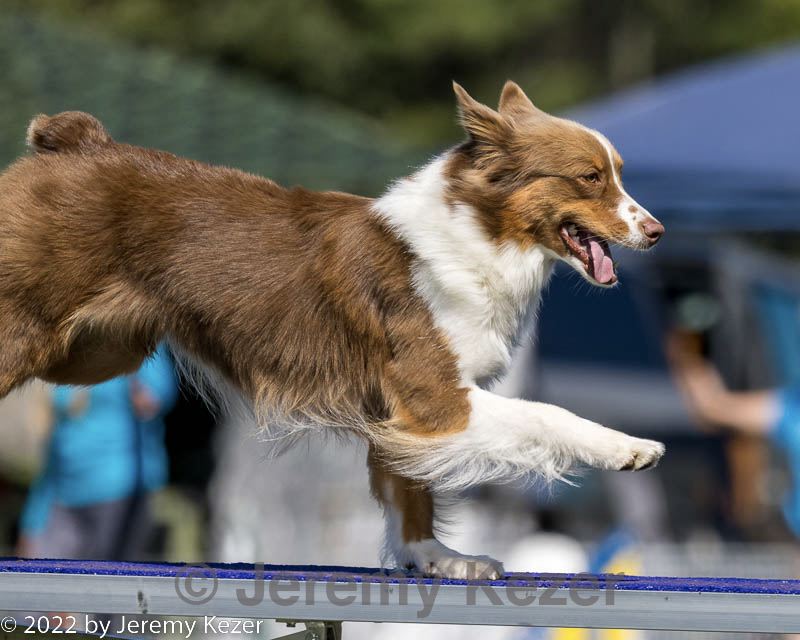 20220917-pvkc-1428.jpg